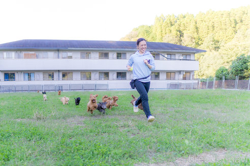 成約済の千葉県のカニンヘンダックスフンド(ロングヘアード)-312468の2枚目